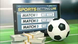 Exploring the Dynamics of Male Bet A Comprehensive Guide